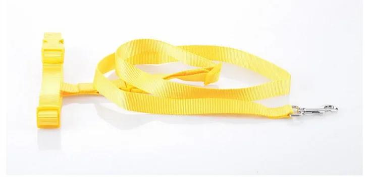 Mãos ajustáveis Grátis Pet Lead Leash, cintura, cinta no peito, corda de tração, gato, cão, corrida, caminhar, correr, dom, animais suprimentos, 1pc - Image 1