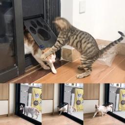 Porta de estimação, Dog Gate, Ao ar livre, Cães, Gatos, Janela, Casa, Entrar livremente, Moda, Bonito Jardim, Seguro, Novo, Fácil Instalar - Image 2