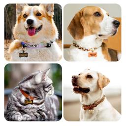 Molde De Silicone Em Forma De Osso Para Tag De Cão Pingente, Chaveiro Fazendo Ferramentas, Molde De Resina Epóxi, Artesanato De Jóias DIY - Image 3