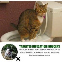 Indoor Pet Potty Training Spray, Indutor Dog Poops, Cat Posicionamento Defecação, Puppy Stool Localização, Pet WC - Image 3