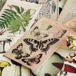 30 pçs retro antigo floresta animais plantas espécime cartão postal vintage criativo escrita cartões postais diar diários diy - Image 4