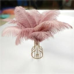 10 pçs/lote penas de avestruz coloridas para artesanato decoração de casamento acessórios de artesanato peças centrais de mesa carnaval plumas decoração - Image 4