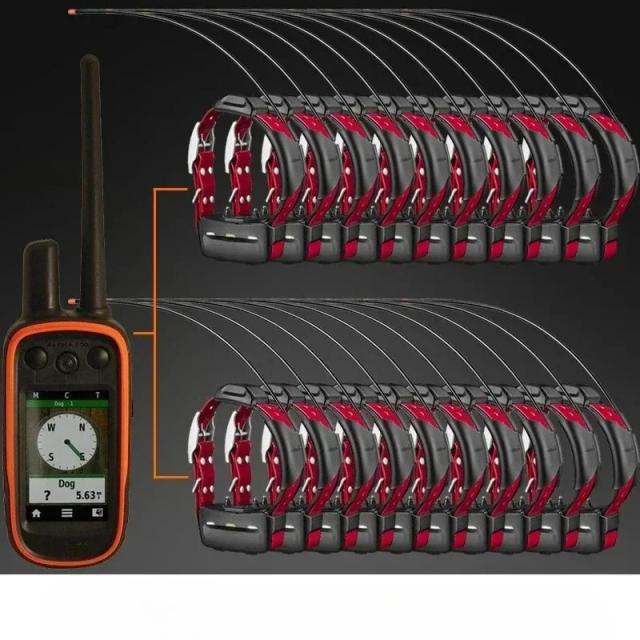 Garmin Alpha 100 TT15 Combo Usado - Sistema de Rastreamento e Treinamento GPS para Cães