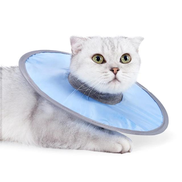 Colar Recuperador Ajustável e Macio para Gatos, Impermeável e Protetor para Cicatrização de Feridas