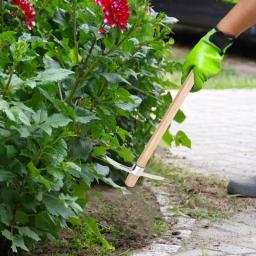 2 em 1 escavação picareta eixos com alça multifuncional de aço inoxidável mão picareta machado jardim eficiente picareta jardinagem ferramenta mão - Image 4