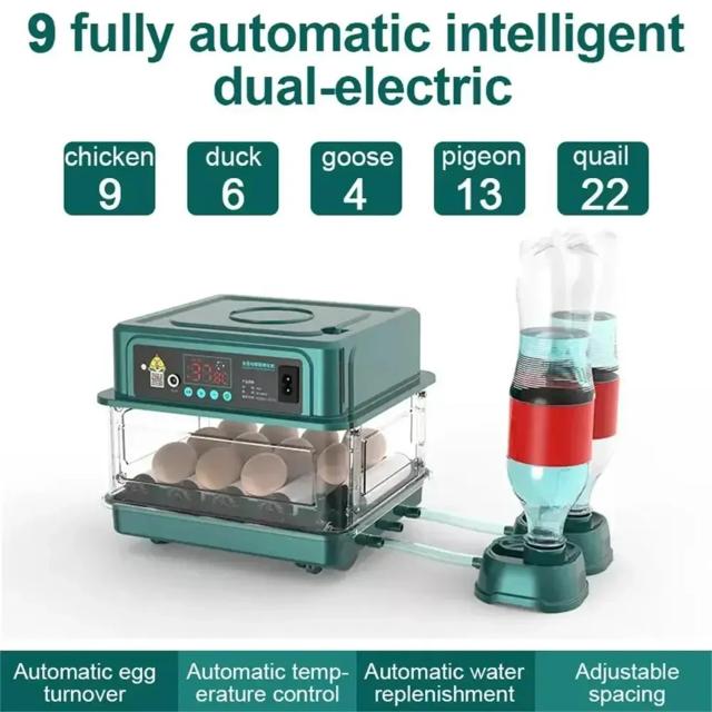 Incubadora Mini Pato com Giro Automático, Monitoramento de Umidade e Tecnologia à Prova d'Água - Ideal para a UE e Reino Unido