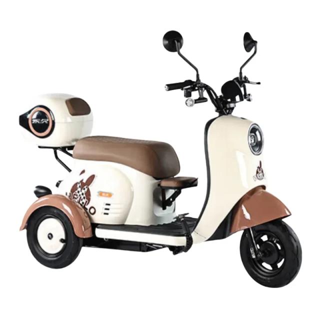 Triciclo Elétrico Adulto China 3 Rodas Scooter Mobilidade Elétrica