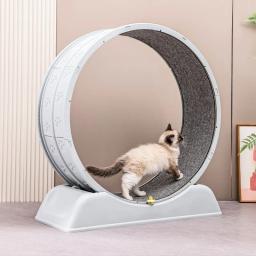 Circular circulação gato esteira, exercício de fitness, roda silenciosa, gatos correr, brinquedo do gato, roda para gatos, Pet fornecimentos - Image 1