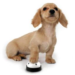 Sino treinamento para animais estimação, sino para cachorro, cachorro, gato, sino para sair comer - Image 4