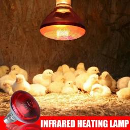 220v lâmpada de aquecimento aves réptil planta anfíbio 100/150/200/275w lâmpada de aquecimento pet gado isolamento infravermelho aquecimento - Image 3