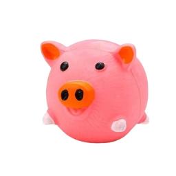 Pet Dog Vocal Toy, Brinquedo para Cão - Image 6