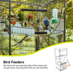 Recipiente De Alimento De Pássaro De Acrílico Automático Com Perch, Sem Alimentador De Mess, Periquito Claro, Acessórios De Gaiola - Image 3