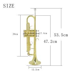 Trompete Padrão com Pano de Limpeza e Luvas, Instrumento Estudantil de Bronze, Adequado para Banda Escolar, Orquestra, Iniciantes - Image 6