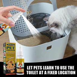 Indoor e Outdoor portátil Pet WC Formação Spray, Filhote de Cachorro Posicionamento Defecação, Gatos Potty Formação, Localização, Cães, Indutor - Image 5