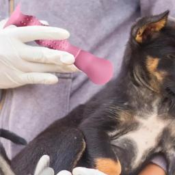 Aplicador multifuncional pomada de silicone para pet, fácil de usar, limpeza dos olhos e beleza, 1 pc - Image 3