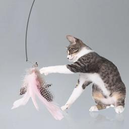 Brinquedos interativos de penas para gatos, arame de aço com sino, auto-hi pet Teaser, Pet Supplies engraçado - Image 2