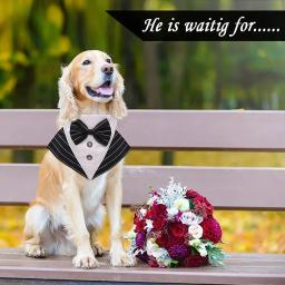 Smoking bandana formal para cães com gravata borboleta, roupa de casamento, acessórios de vestir, traje de cachorro, lenço de cavalheiro - Image 4