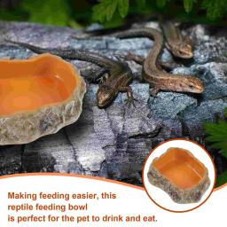 Prato De Vidro Terrário, Alimentação De Água, Alimentos, Pet Terrário, Tartaruga De Lagartixa, Anfíbios Rocha, Mealworm, Tartaruga, Répteis - Image 3