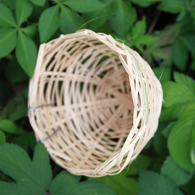Ninho de Bambu Artesanal para Aves: Refúgio Natural e Decoração para Finches, Canários e Papagaios Pequenos