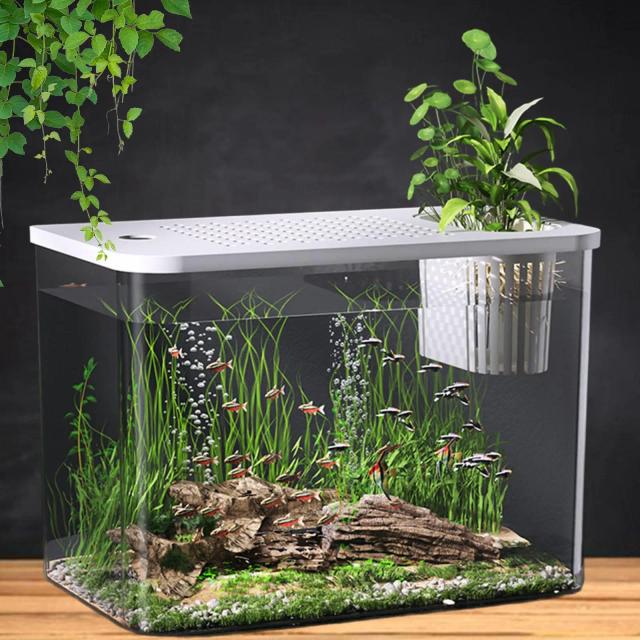 Terrário Empilhável Transparente para Répteis e Anfíbios com Excelente Visibilidade e Caixa de Alimentação