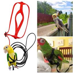 Trela ajustável para animais de estimação, pássaro, papagaio, tiras de tração voadora ao ar livre, corda de treinamento anti-mordida, acessórios para pombos - Image 1