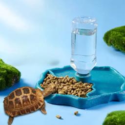 Alimentador de répteis para répteis e anfíbios, prato de comida tartaruga, tigela pequena para animais, suprimentos removíveis e fáceis de limpar, 1pc - Image 1