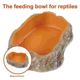 Prato De Vidro Terrário, Alimentação De Água, Alimentos, Pet Terrário, Tartaruga De Lagartixa, Anfíbios Rocha, Mealworm, Tartaruga, Répteis - Image 5