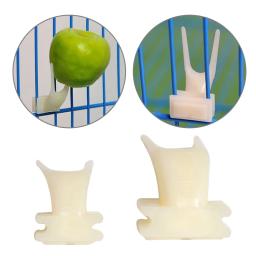Suporte De Comida De Plástico Para Papagaios, Garfo De Frutas, Prateleira Conveniente, Alimentação De Gaiola, Lanches De Pássaro, Suprimentos De Pássaro - Image 2