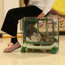 Mala carrinho transparente para Pet, transporte exterior, acessórios de viagem, Pet Products, gatos e cães pequenos Design - Image 4