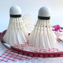 Peteca de Badminton Profissional, Pena Do Ganso Negro, Bola De Treinamento Do Esporte, 3 6 12Pcs - Image 4