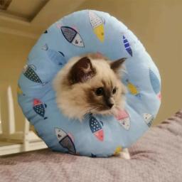 Colar de recuperação de animais ajustável Cone macio E-Collar, Cone protetor para gato e cachorro, Após cirurgia - Image 5