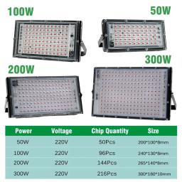 Full Spectrum LED Grow Light, Lâmpada Phyto para Estufa, Iluminação hidropônica de crescimento vegetal com plugue EU, AC 220V, 50W, 100W, 200W, 300W - Image 4
