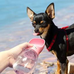 Garrafa de água cão portátil, caminhada ao ar livre, cachorro, pet, viagem, tigela, suprimentos para gatos, 350ml, 550ml - Image 6