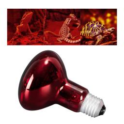 Réptil Lâmpada de Aquecimento para Pet Heat Lights, Lâmpada Iluminação Dispositivo, Fonte de Aquecimento, Vivarium Terrarium, Geckos Amphibian, 100W - Image 5