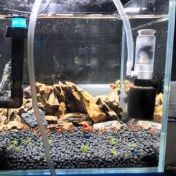 Filtro de água pneumática Mini para Fish Tank Bowl, acessórios do aquário silencioso, Pet Shop portátil - Image 5