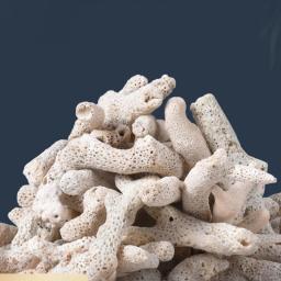 Filtro Biológico Natural Do Osso De Coral, Mídia De Aquário, Acessórios Do Tanque De Peixes, 100g, 250g, 500g - Image 2
