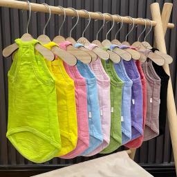 Multicolor Sphynx Pet Clothes para gatos, Roupas de gatinhos de algodão, Gatos sem pêlos Camisola, Soft Devon Rex Vestuário, Colete de gatinho - Image 1