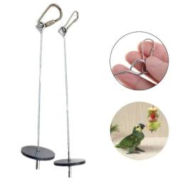 Suporte de comida de aço inoxidável para Pet, Fruit Spear Stick Espeto de vegetais Brinquedos de forragem Alimentador de pássaros de metal - Image 3