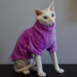 Suéter macio de duas pernas Sphynx para Pet, camisa macia para gato sem pêlos, inverno quente, cor sólida, roupas de gatinho, gato e cachorro - Image 4