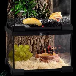 Réptil Pet Glass Feeding Box, Tartaruga Terrário, Serpente Aranha, Lagarto, Sapo com Chifres, Floresta Tropical, Tanque Ecológico, Caranguejo Caracol - Image 5