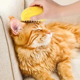 Escova de vapor elétrica para animais de estimação, cão e gato Spray de água, Kitten Pet Comb Depilação macia de silicone Escova de cabelo de banho - Image 3