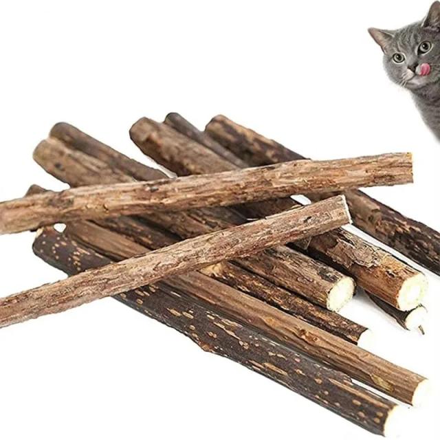 Creme Dental em Bastão para Pets com Kiwi e Silver Vine - Limpeza Segura para Dentes Naturais
