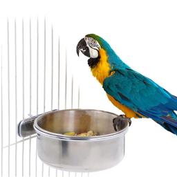Pendurado aço inoxidável papagaio alimentação tigela, prato do alimento, bebedor de água, alimentador do pássaro, gaiola copo, clamp-on, periquito periquito tentilhões - Image 1