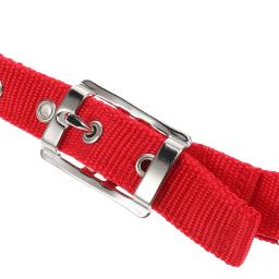 Crianças treinamento equestre ajustável engrossado cavalo halter equipamento macio webbing durável náilon versátil - Image 6