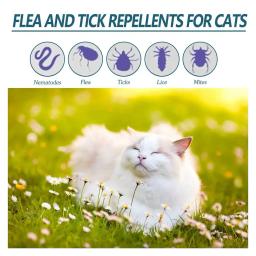 Pet Anti-Flea Tick Agent, Gatos e Cães, Desparasitação Extracorpórea 50ml, Agente de Limpeza da Pele para Piolhos, Carrapatos e Carrapatos - Image 2