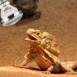 Lâmpada Réptil para Aquecimento de Animais, E27 Luz Noturna, Lâmpada de Serpente Anfíbia, 25W, 50W, 100W, AC 220-230V, Inverno Quente - Image 4