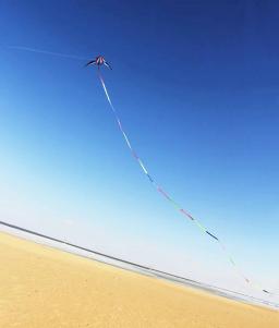 Professional Dual Line Stunt Kites, Flying Power Kites para adultos, linha de cordas, Air Software, 240cm, frete grátis - Image 6