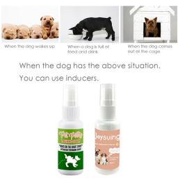 Indutor de Spray Incomestível para Cachorro Treinamento Sanitário para Cachorros, Posicionamento de Cachorros, Ferramenta de Defecação Não Tóxica, 30ml - Image 5
