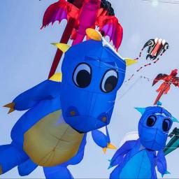 Flying Dragon Kite para crianças, Professional Wind Kite, Steigen Kite para adultos, Automatic Kite Machine, Frete Grátis, 5m - Image 6