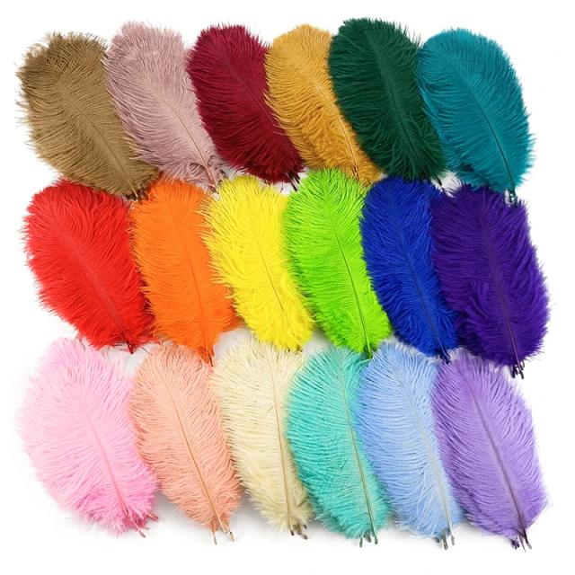 Conjunto de 10 Pçs de Penas de Avestruz para Artesanato, Fotografia e Decoração de Festas e Casamentos